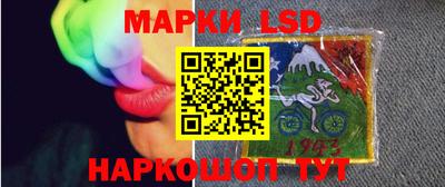 Альфа ПВП Владикавказ