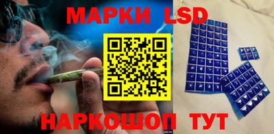 Альфа ПВП Владикавказ