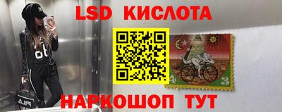 ПСИЛОЦИБИНОВЫЕ ГРИБЫ Владимир
