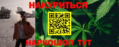 Альфа ПВП Владикавказ