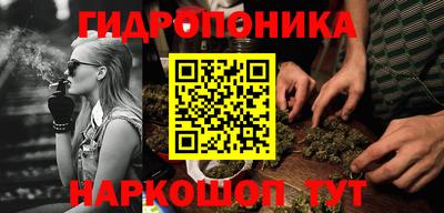 ПСИЛОЦИБИНОВЫЕ ГРИБЫ Владимир