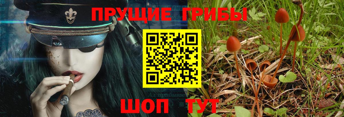 Псилоцибиновые грибы Magic Shrooms  Галлюциногенные грибы Magic Shrooms  цены   Вход с VPN  Наро-Фоминск 