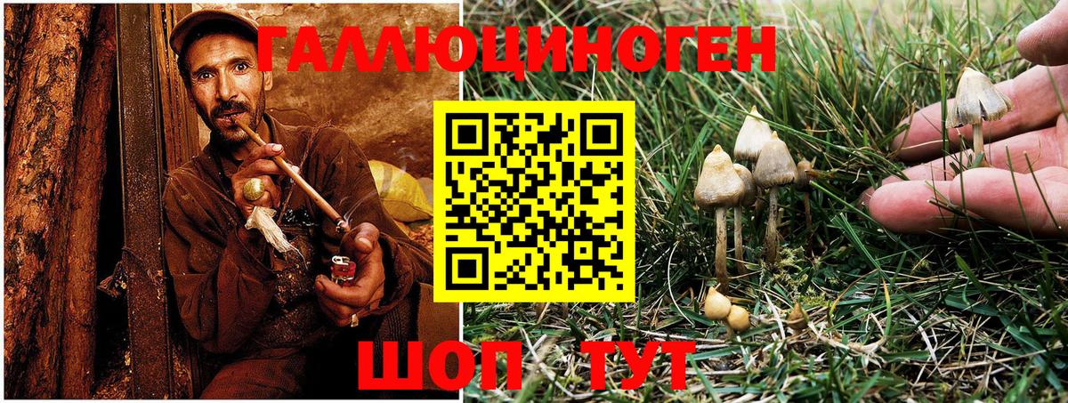 Псилоцибиновые грибы Cubensis Наро-Фоминск